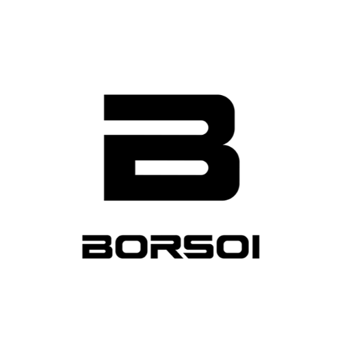 Logo di Borsoi Srl