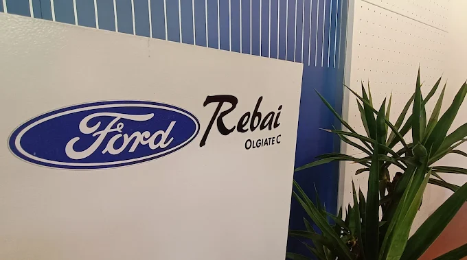 REBAI ANDREA