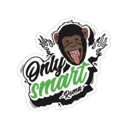 ONLY SMART S.R.L.