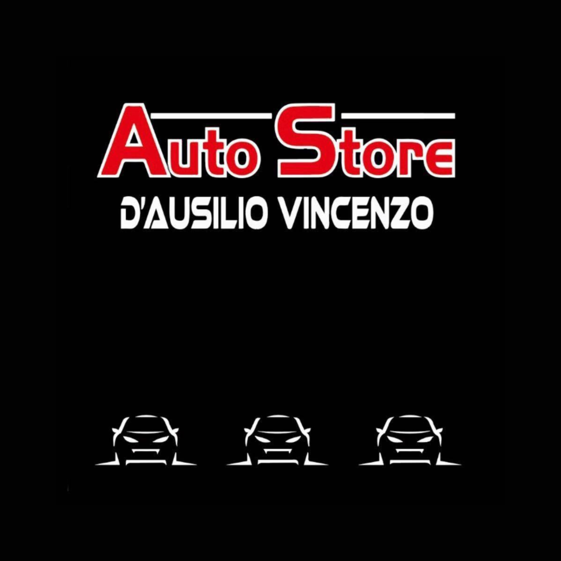 Logo di AUTO STORE DI D'AUSILIO VINCENZO