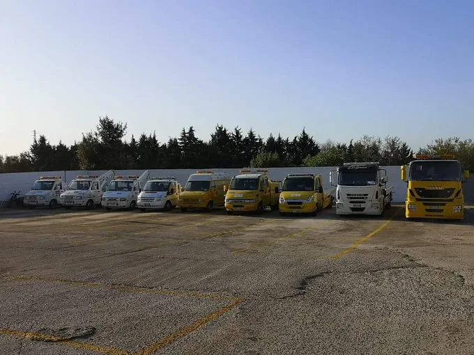 E.P. SERVICE SOCIETA' COOPERATIVA