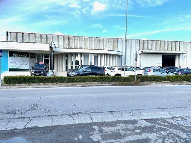 PETRALLI AUTO SRL