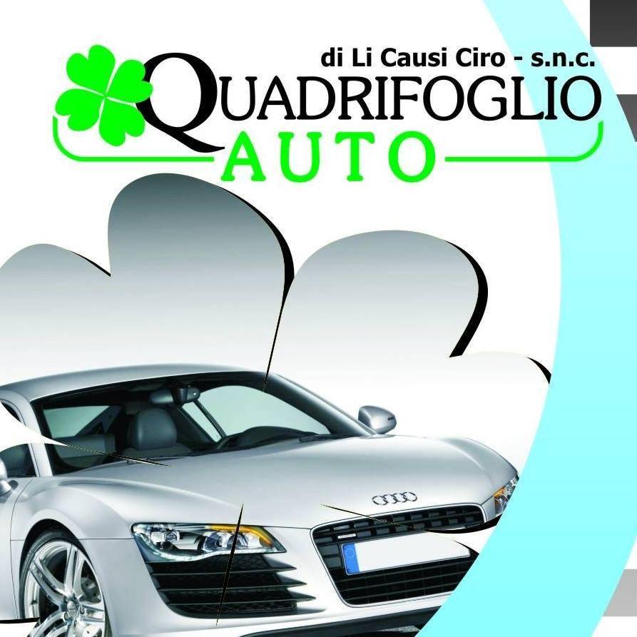 Logo di QUADRIFOGLIO DI LI CAUSI CIRO E C. S.N.C.