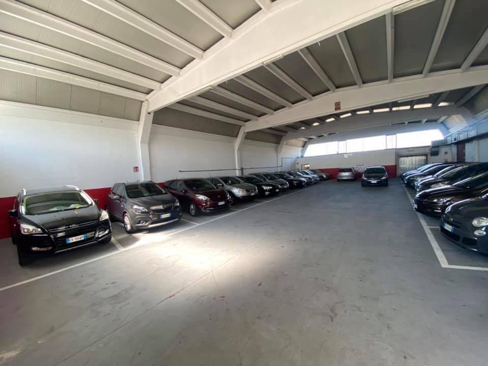 AUTO JOLLY DI JOLLA ERVIS