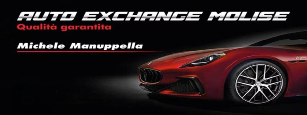 AUTO EXCHANGE SRLS
