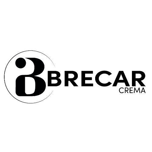 Logo di Brecar Auto