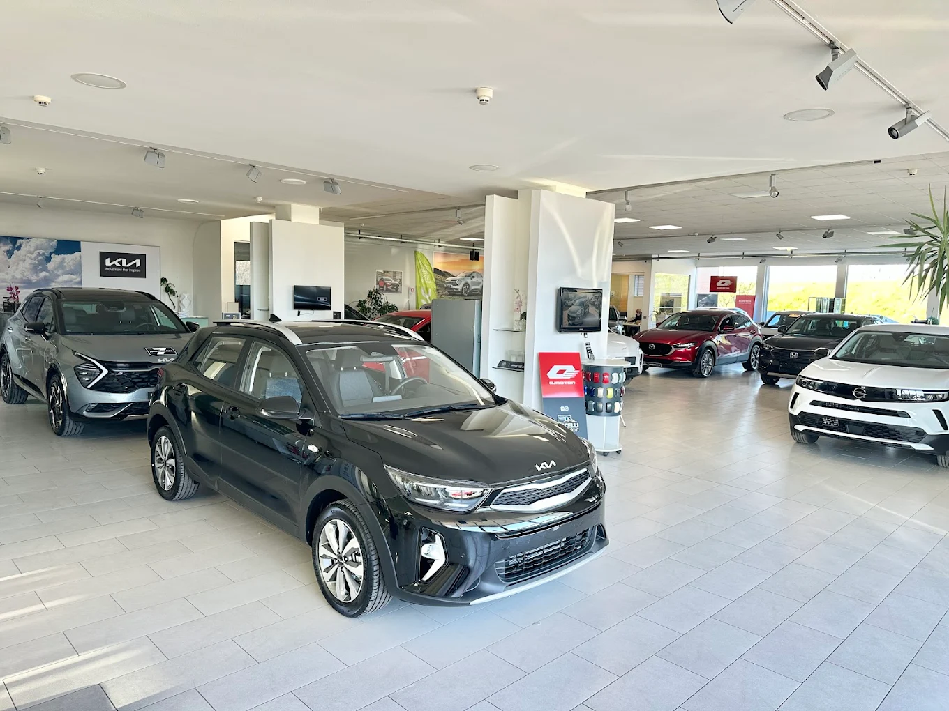 Fuccelli Auto Srl