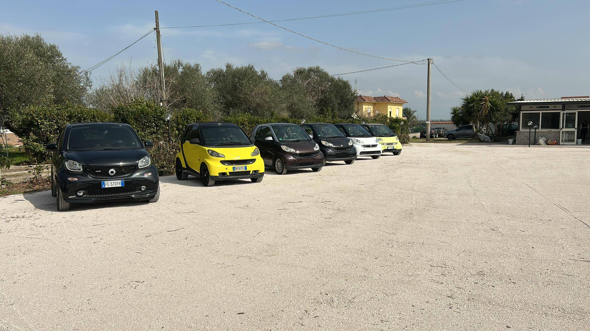 TOP MOTORS SRL