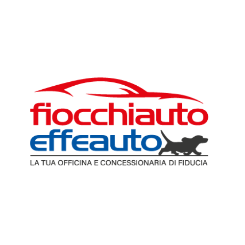 Logo di EFFEAUTO SRL