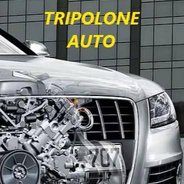 TRIPOLONE AUTO
