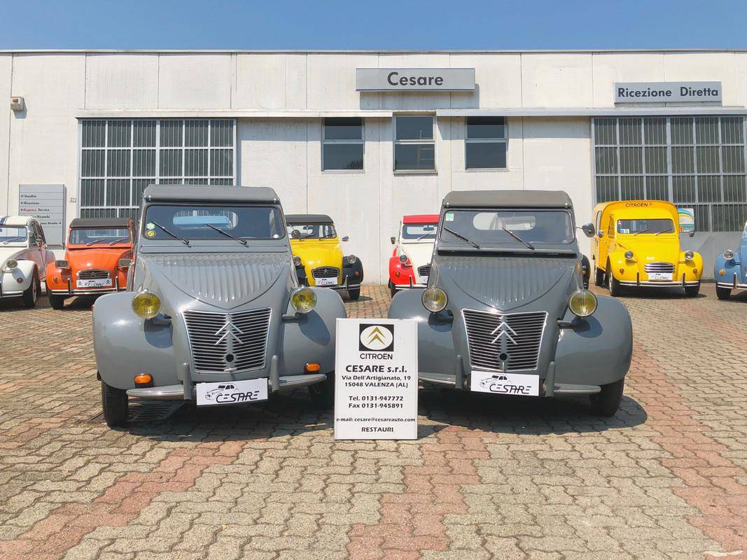 Cesare Srl