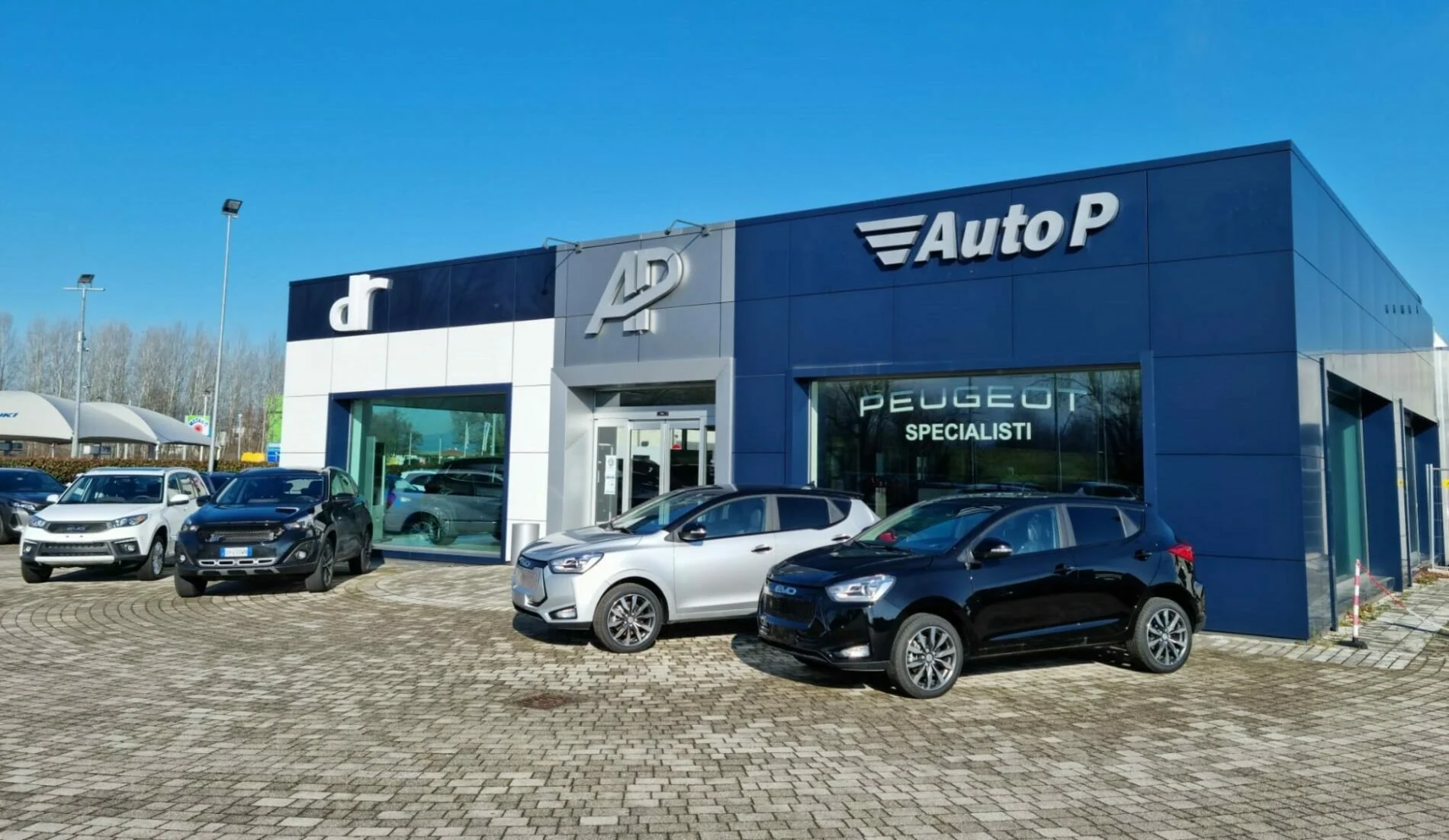 Auto P. Srl