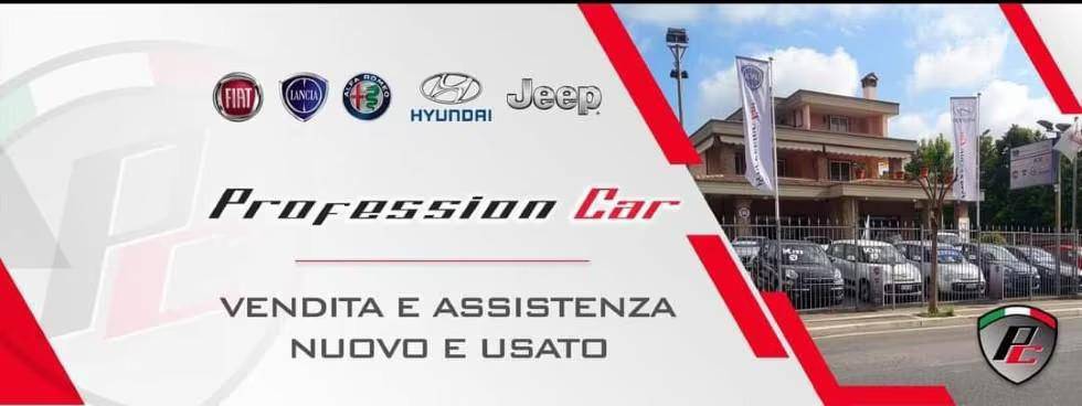 PROFESSION CAR SRL