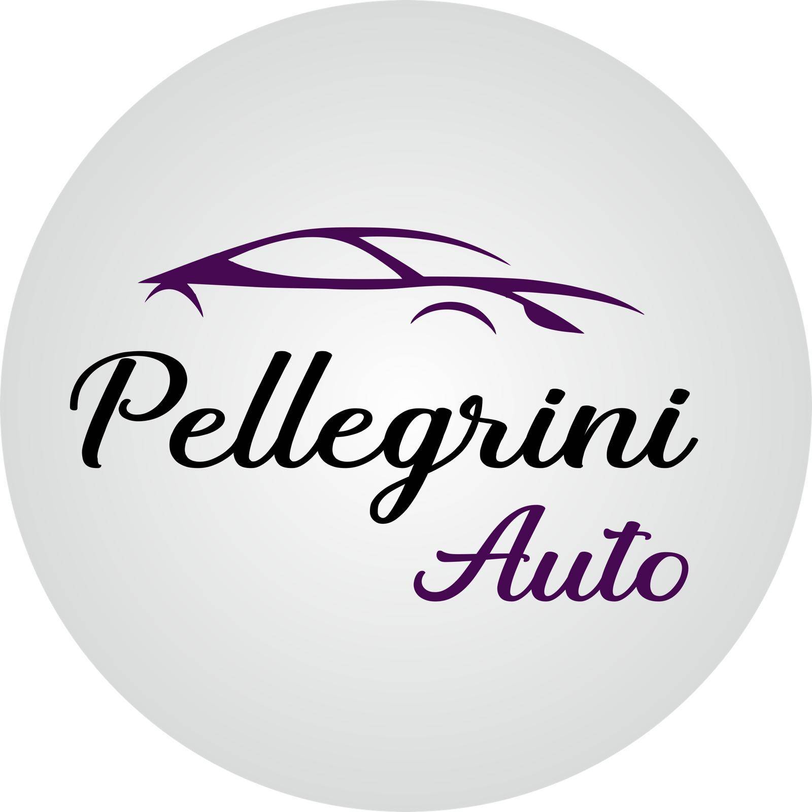 Logo di AUTO PELLEGRINI