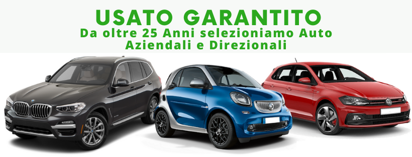 FM Ferrarini Auto Srl