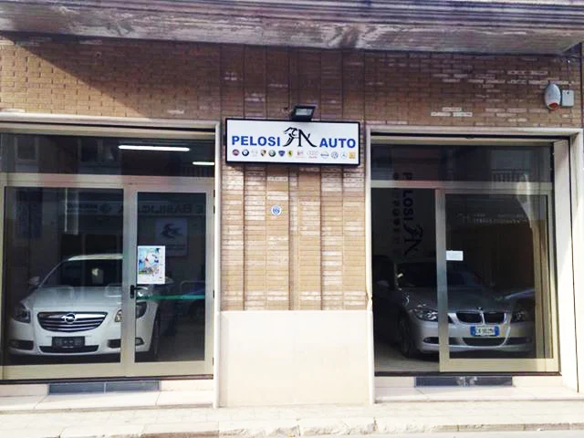 PELOSI AUTO SRLS