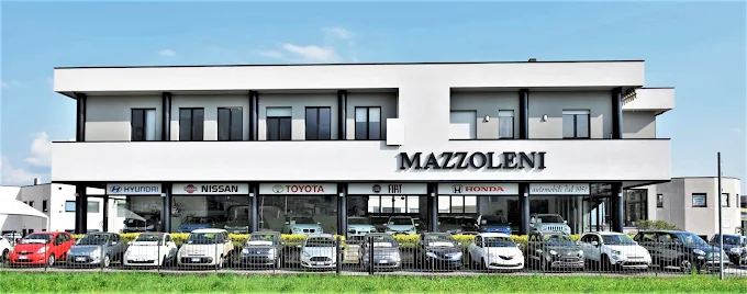 Fratelli Mazzoleni Automobili