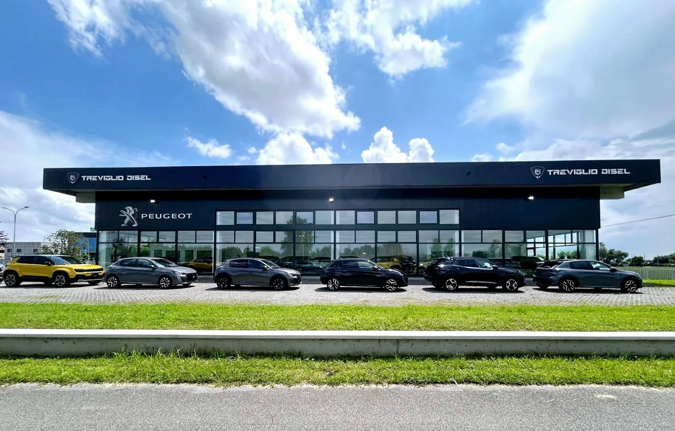 TREVIGLIO DISEL SRL