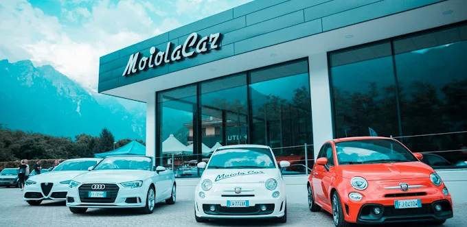 MOIOLACAR SRL