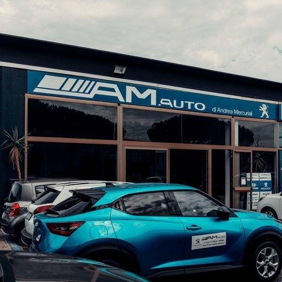 AM AUTO DI ANDREA MERCURIALI