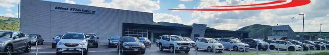 DINI MOTORS SRL