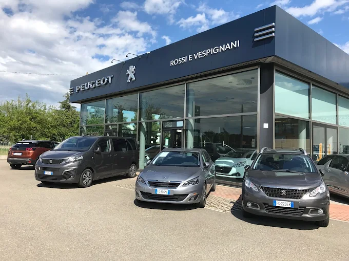 ROSSI E VESPIGNANI SRL