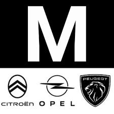 Maestrini Auto Srl