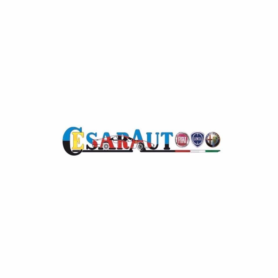 CESARAUTO DI CESARO ANGELA & C. S.A.S.