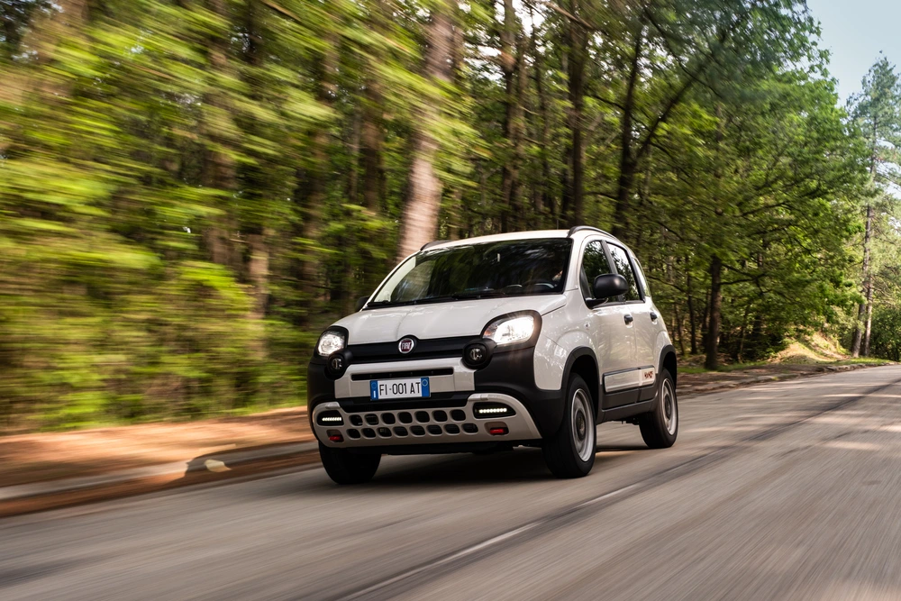 fiat panda bianca che va su una strada in mezzo agli alberi