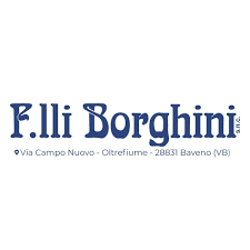 BORGHINIAUTO SRL