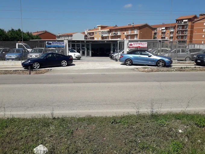AUTOPAPALILLO S.R.L.S.