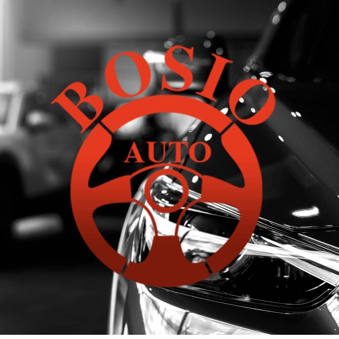 BOSIO AUTO S.R.L.