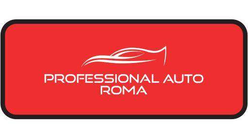 Professional Auto srl