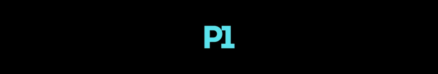 PILA MOTORS