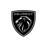 Professione Auto Srl