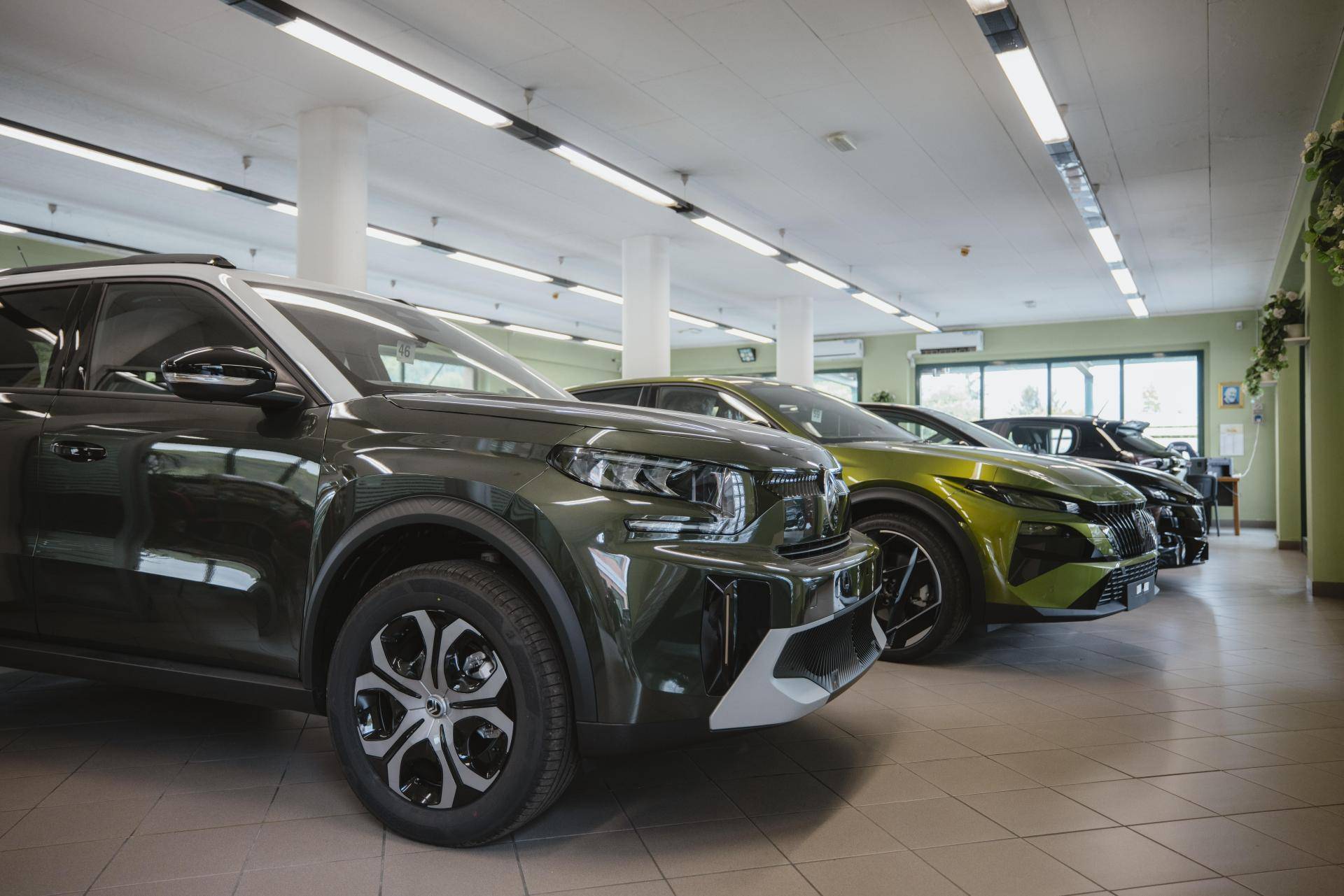 VILLA MOTORS HOUSE SRL