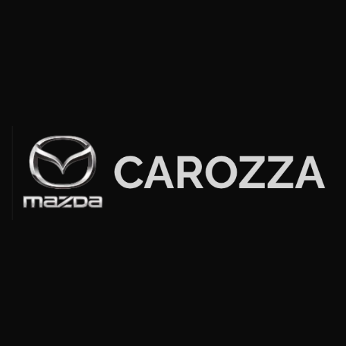 Logo di CAROZZA SRL