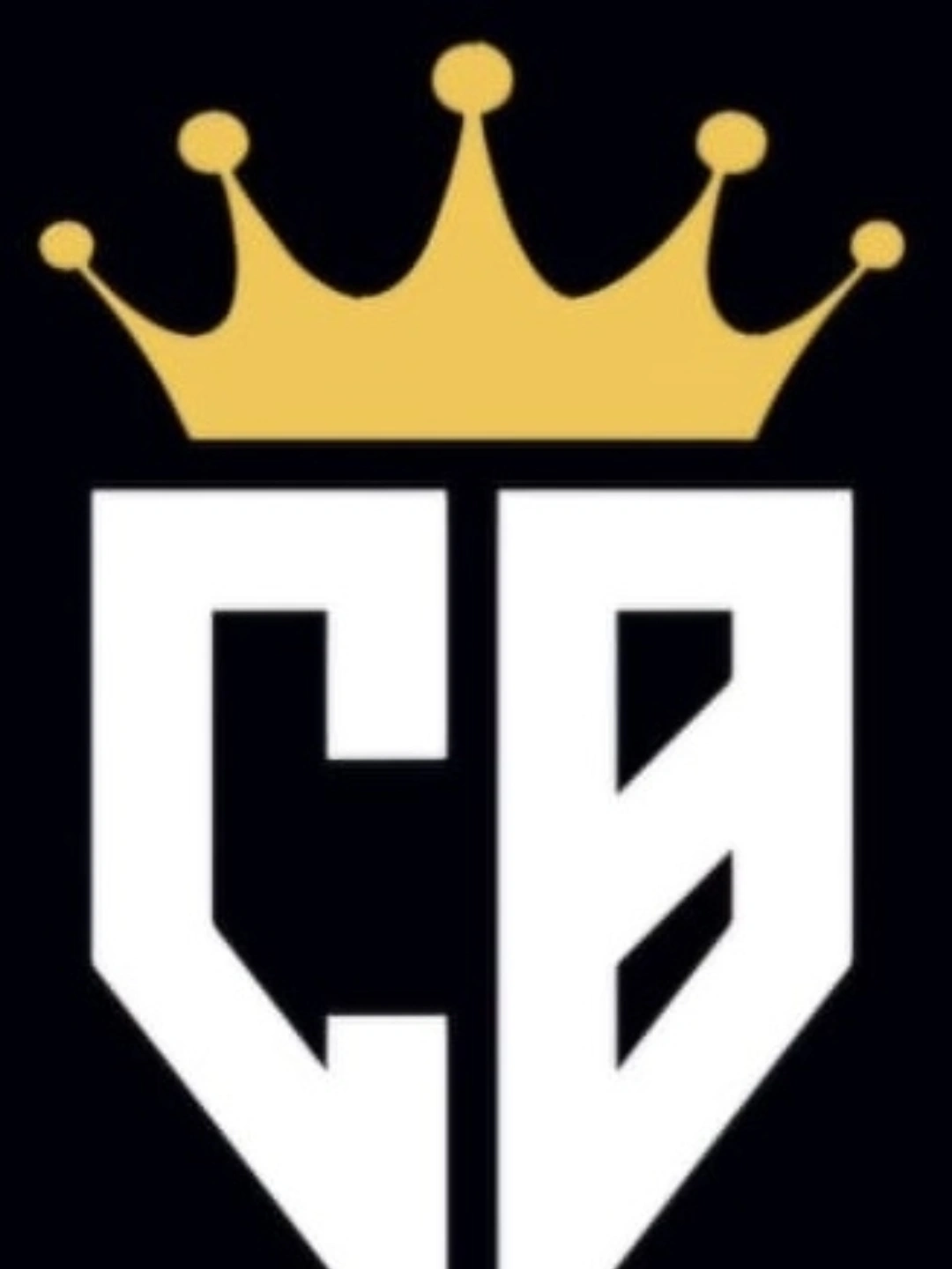 Logo di CB CARS & NOLEGGI SRLS