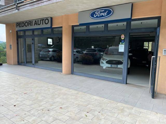PEDORI AUTO S.N.C. DI PEDORI ACHILLE E LEONELLO