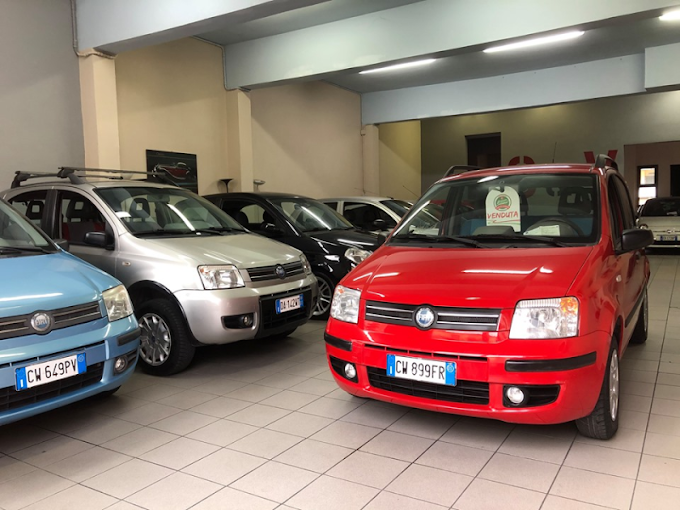 S & V AUTO SRLS