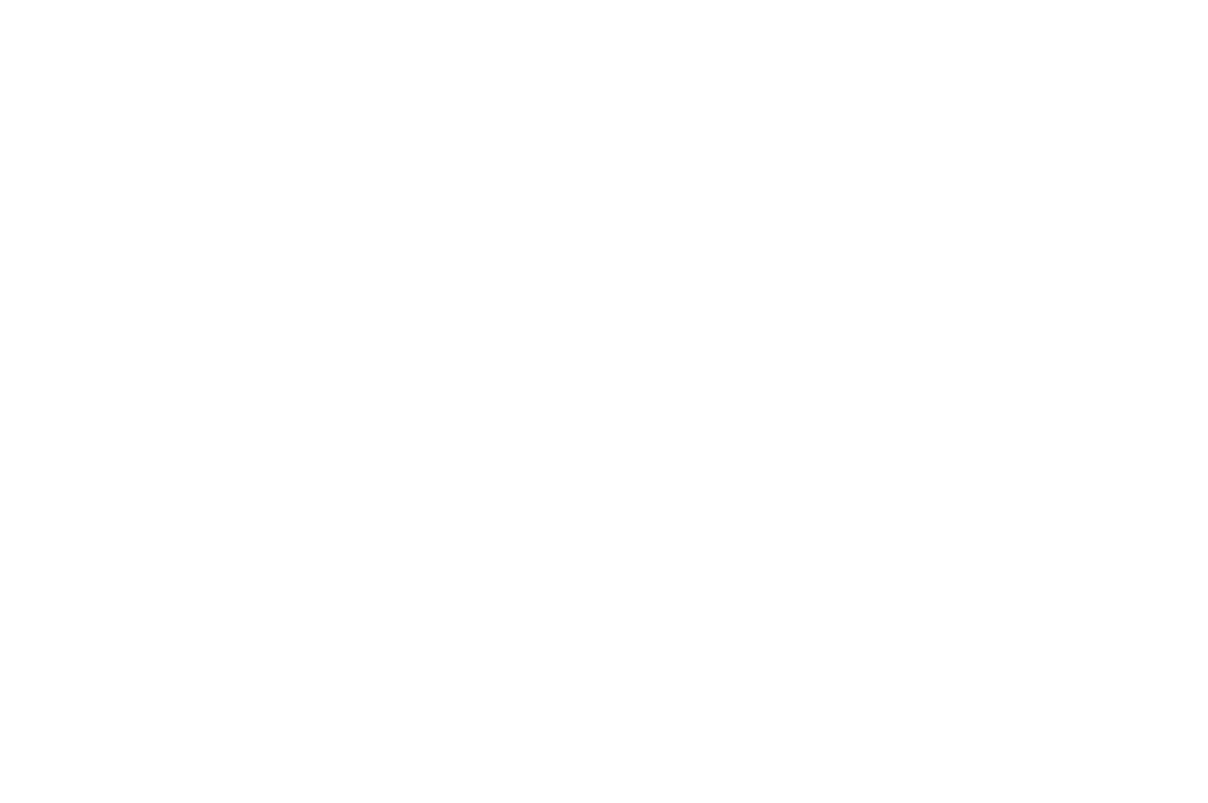 Centrauto srl