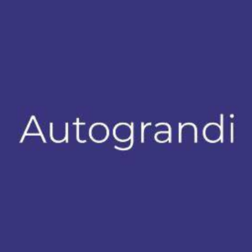 Logo di Auto Grandi Srl