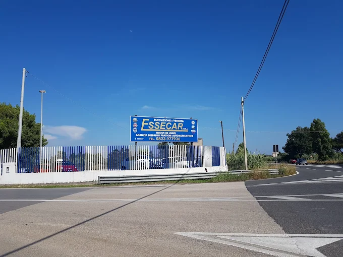 ESSECAR S.R.L. - SOCIETA' A RESPONSABILITA' LIMITATA SEMPLIFICATA
