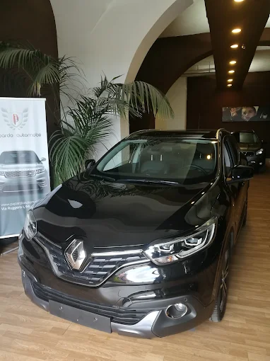 PAPARDO AUTOMOBILI S.R.L.