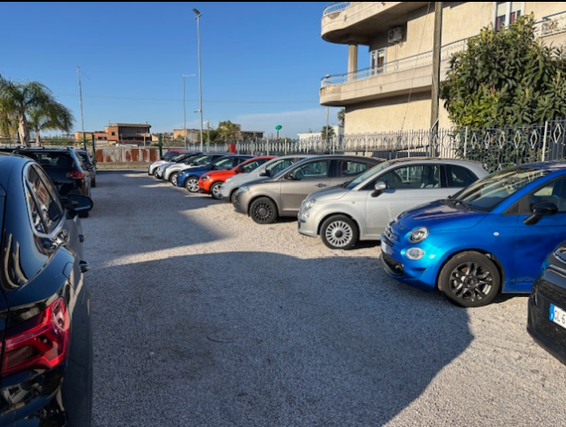 GRUPPO PALMIERI SRL