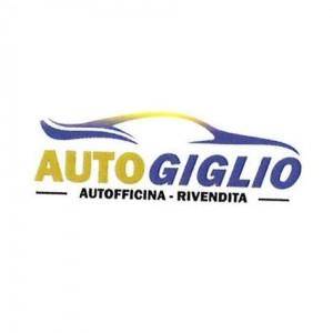 AUTOGIGLIO S.A.S. DI GIGLIO GERARDO D. & C