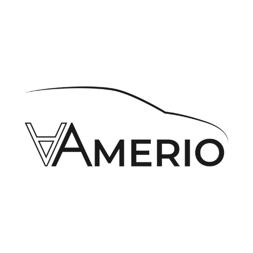 Logo di Amerio Aldo & C. s.n.c.