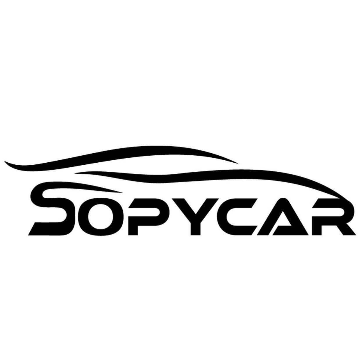 SOPYCAR DI BRESCIANI SAIMON