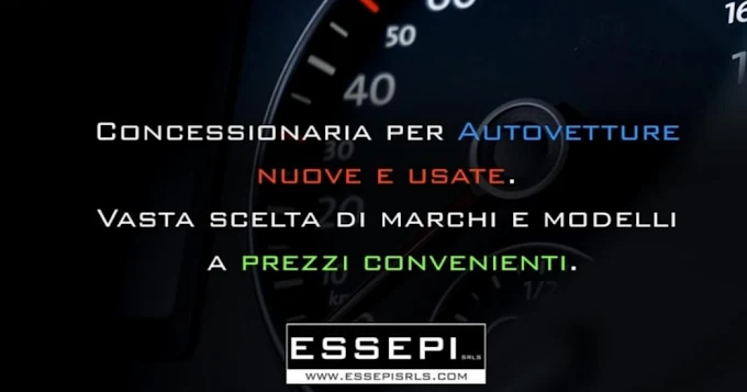 ESSEPI SOCIETA' A RESPONSABILITA' LIMITATA SEMPLIFICATA