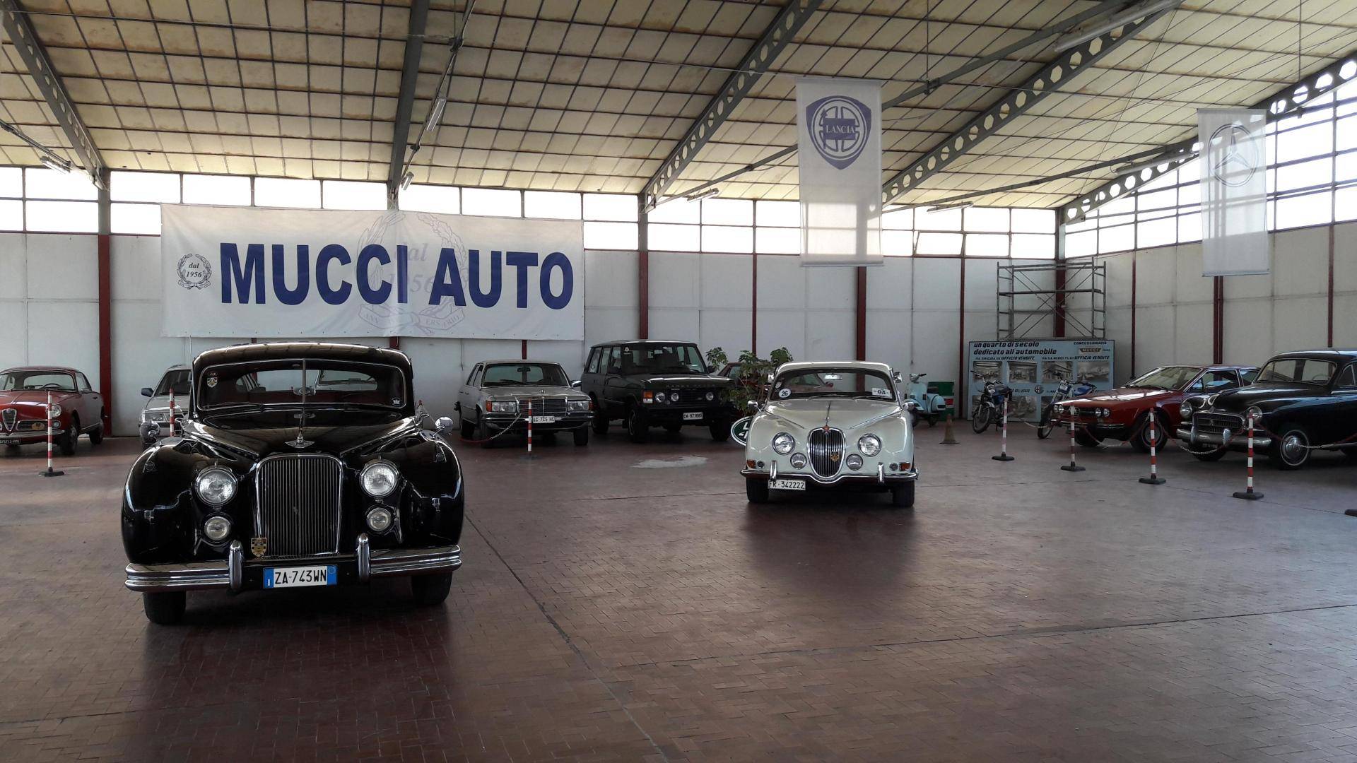 NICOLA MUCCI & C. SRL
